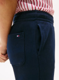 Blue Joggers Cu Broderie Steag  Copii unisex