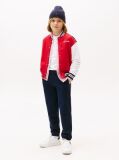 Blue Joggers Cu Broderie Steag  Copii unisex