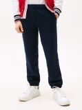 Blue Joggers Cu Broderie Steag  Copii unisex