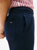 Blue Joggers Cu Broderie Steag  Copii unisex