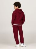 Rosu Hanorac Din Fleece Hilfiger Monotype  Copii unisex