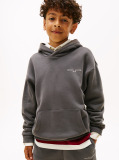 Gri Hanorac Din Fleece Regular Cu Logo  Copii unisex