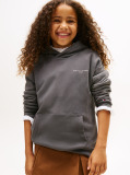 Gri Hanorac Din Fleece Regular Cu Logo  Copii unisex