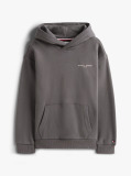 Gri Hanorac Din Fleece Regular Cu Logo  Copii unisex