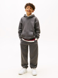 Gri Hanorac Din Fleece Regular Cu Logo  Copii unisex