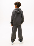 Gri Hanorac Din Fleece Regular Cu Logo  Copii unisex