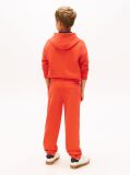 Portocaliu Pantaloni Jogger Regular Din Fleece Periat  Copii unisex
