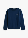 Blue Crew Neck Sweatshirt And Joggers Set  Kids Unisex