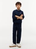 Blue Pantaloni Joggers Cu Steag  Copii unisex
