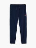 Blue Pantaloni Joggers Cu Steag  Copii unisex