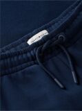 Blue Pantaloni Joggers Cu Steag  Copii unisex
