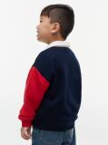 Multi Bluza De Trening Rugby Din Terry In Blocuri De Culori  Copii unisex