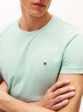 Verde Tricou Slim Fit Cu Steag Brodat  Barbati