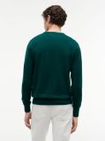Green Cotton Cashmere Crew Neck Jumper  Men