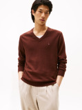 Brown V-Neck Regular Fit Jumper  Men