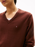 Brown V-Neck Regular Fit Jumper  Men