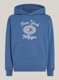 Blue Logo Embroidery Hoody  Men