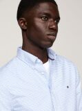 Blue Camasa Oxford Gingham Cu Croiala Regular Fit  Barbati