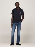 Blue Regular Vertical Flag Polo Shirt  Men