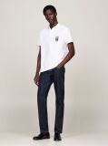 White Regular Vertical Flag Polo Shirt  Men