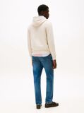 Beige Flag Embroidery Terry Hoody  Men