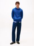 Blue Flag Embroidery Terry Hoody  Men