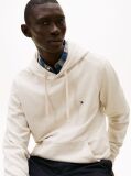 Beige Flag Embroidery Terry Hoody  Men