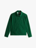 Verde Jacheta Usoara Ivy Regular Fit  Barbati