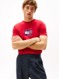Red Flag Graphic Jersey T-Shirt  Men
