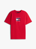 Red Flag Graphic Jersey T-Shirt  Men