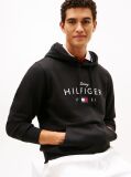 Negru Hanorac Fleece Cu Gluga Flex Cu Logo Grafic  Barbati
