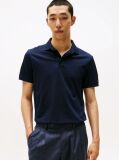 Blue Regular Fit Concealed Plaquet Polo Shirt  Men