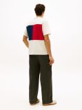 Bej Tricou Relaxat Din Jersey Cu Steag Brodat  Barbati