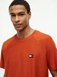 Orange Flag Raglan Sleeve Relaxed Jersey T-Shirt  Men