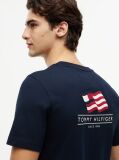 Blue Wavy Flag Back Graphic Jersey T-Shirt  Men