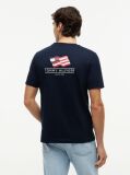 Blue Wavy Flag Back Graphic Jersey T-Shirt  Men
