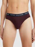 Multi 3-Pack Essential Briefs  Men