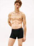 Multi 3-Pack Logo Waistband Trunks  Men
