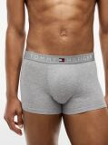 Multi 3-Pack TH Original Logo Waistband Trunks  Men