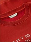 Rosu Bluza De Trening Din Fleece Cu Croiala Lejera Si Logo  Femei