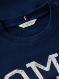 Blue Hanorac Lejer Cu Logo Crest Si Cordon De Strangere La Tiv  Femei