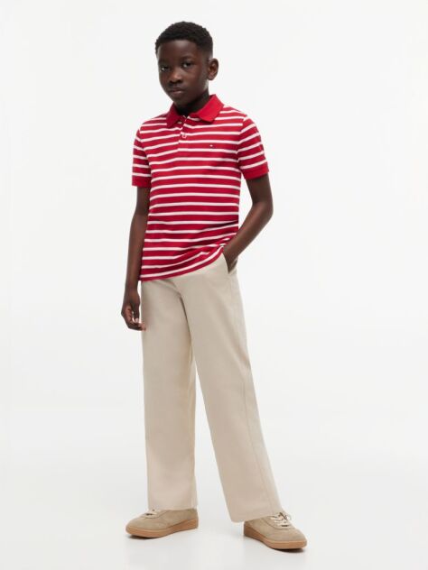 Multi Essential Flag Embroidery Regular Fit Polo  Boys