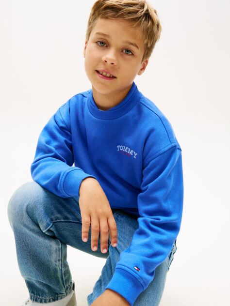Blue Hanorac Cu Guler Rotund Si Broderie Cu Logo  Baieti