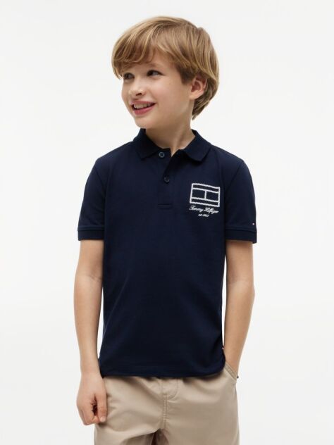 Blue Regular Fit Outline Flag Pique Polo Shirt  Boys