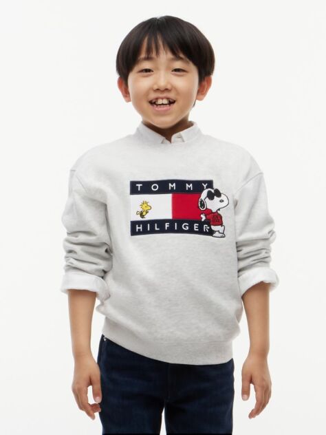 Grey Peanuts® Flag Graphic Embroidery Jumper  Kids Unisex