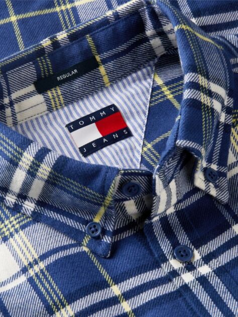 Multi Regular Fit Check Brushed Flannel Shirt  Men