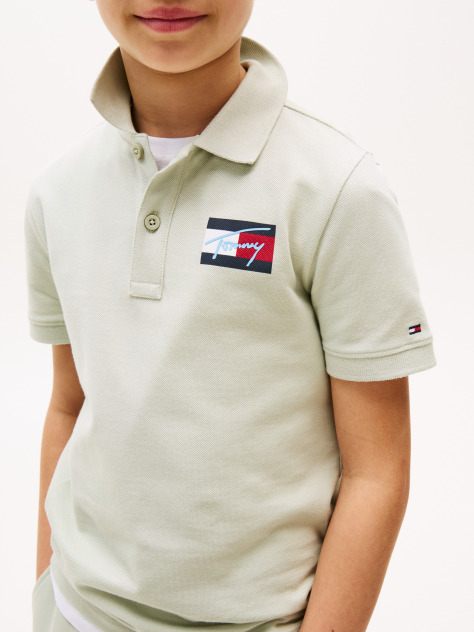 Verde Tricou Polo Regular Fit Cu Signature Logo  Baieti