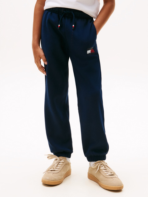 Blue Pantaloni Jogger Regular Cu Emblema Steag Hilfiger  Baieti