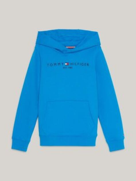 Blue Essential Logo Hoody  Kids Unisex
