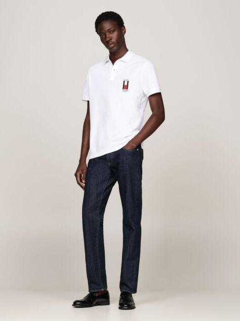 Alb Regular Vertical Flag Polo Shirt  Barbati